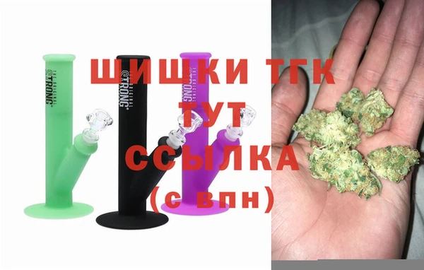 стаф Дмитровск
