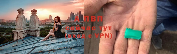 стаф Дмитровск