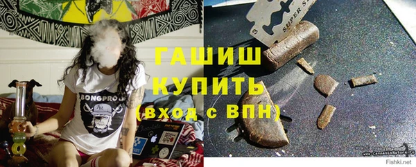 стаф Дмитровск
