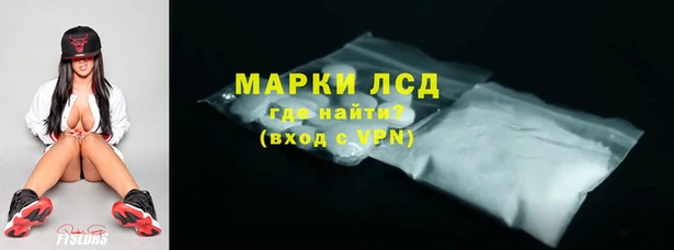 стаф Дмитровск