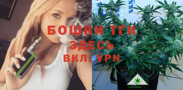 стаф Дмитровск