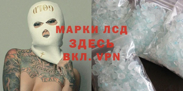 стаф Дмитровск